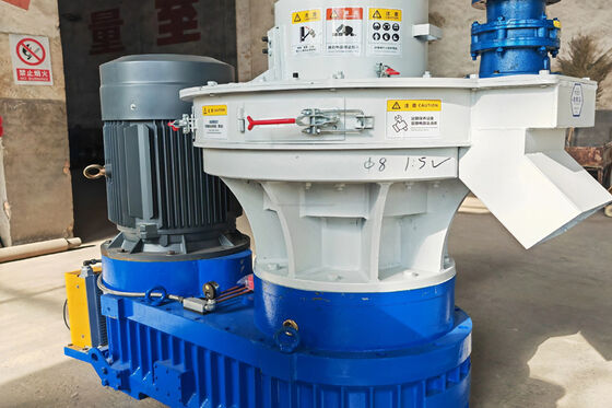 Fabricante de briquetas de biomasa de 22kW con bajo ruido para calefacción escolar