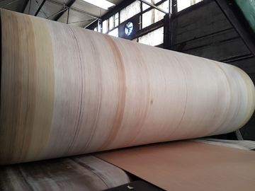 Durabilidad de la correa del corrugador del borde de Aramid la alta para BHS, FOSBER, MARQUIP acanaló la línea